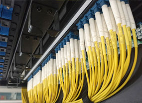Fiber Cable Management
