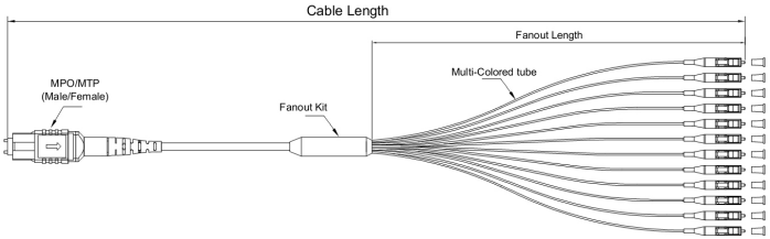 MPO/MTP Fiber Cable|MPO-SC Fiber Optical Branch Patch Cord 12 cores 0.9mm SM MM