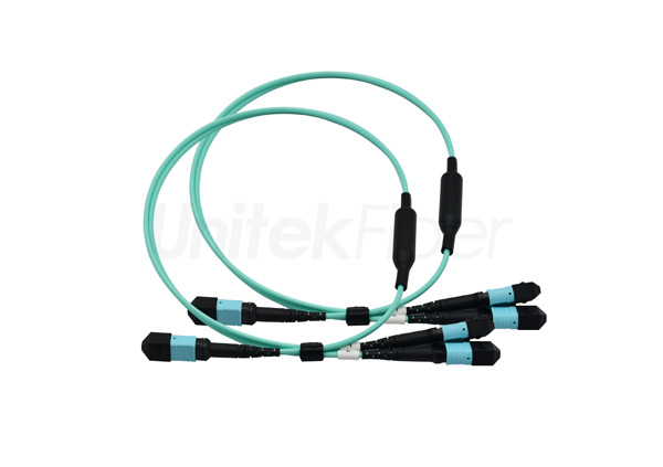 mtp fiber cable 001