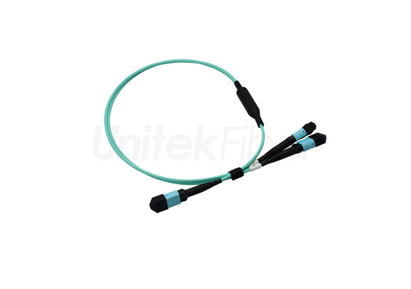 mtp fiber cable 005