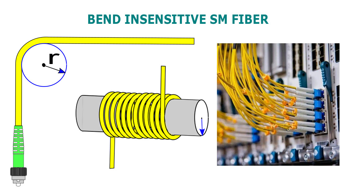 G657A2_fiber_jumer.jpg