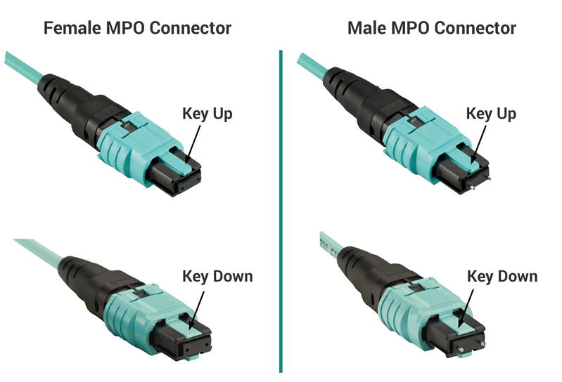 MPO-fiber-patch-cord-02.jpg