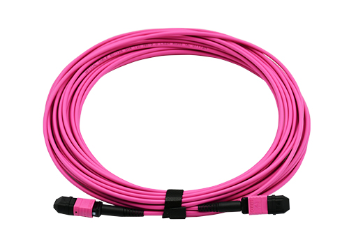 High Density MPO/MTP Fiber Cable|MPO- MPO Trunk Cable 12 Cores OM4 Pink 10M LSZH